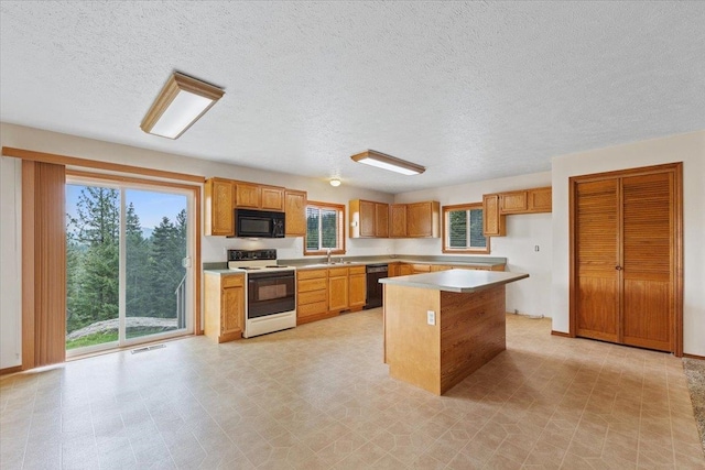 18109 N Harvard Ln, Newman Lake, WA 99025 - kitchen with a sink, white electric range, black microwave, open floor plan, and a wood stove