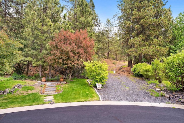 3515 W Excell Ln, Spokane, WA 99208 - view of grassy yard