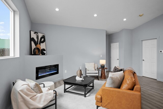 11911 N Main St, Mead, WA 99021 - living room featuring wood finished floors, recessed lighting, and a glass covered fireplace