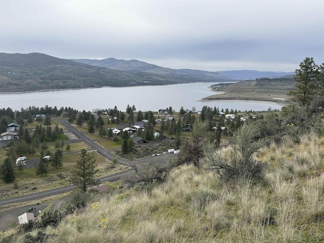 42605 Sunburst Ln, Deer Meadows, WA 99122