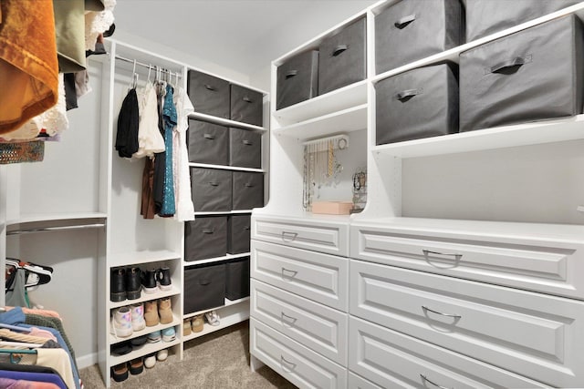 17321 E Morningside Ln, Spokane Valley, WA 99016 - spacious closet with carpet floors
