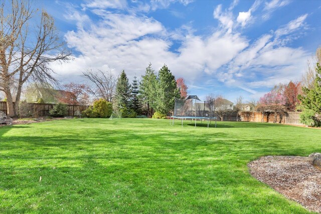17321 E Morningside Ln, Spokane Valley, WA 99016 - view of yard with a trampoline
