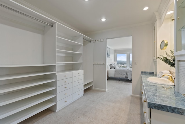 17500 E Wellesley Ave, Spokane Valley, WA 99216 - walk in closet with a sink and light colored carpet