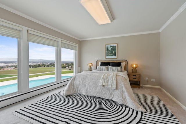 17500 E Wellesley Ave, Spokane Valley, WA 99216 - carpeted bedroom featuring ornamental molding, access to outside, and baseboards