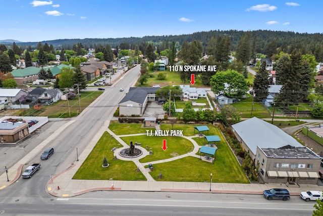 110 N Spokane Ave, Newport, WA 99156 - aerial view of residential area with a heavily wooded area