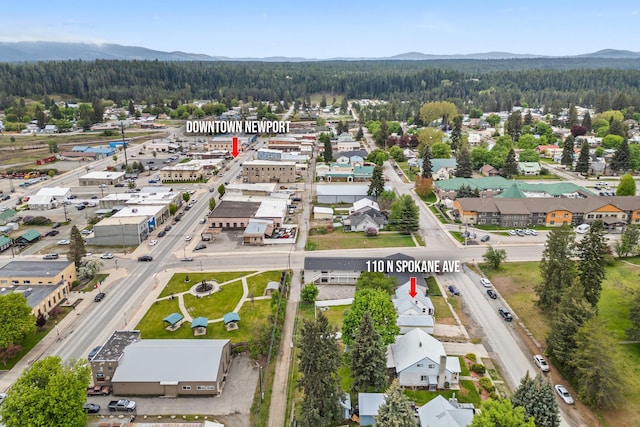 110 N Spokane Ave, Newport, WA 99156 - drone / aerial view of a heavily wooded area and a mountainous background