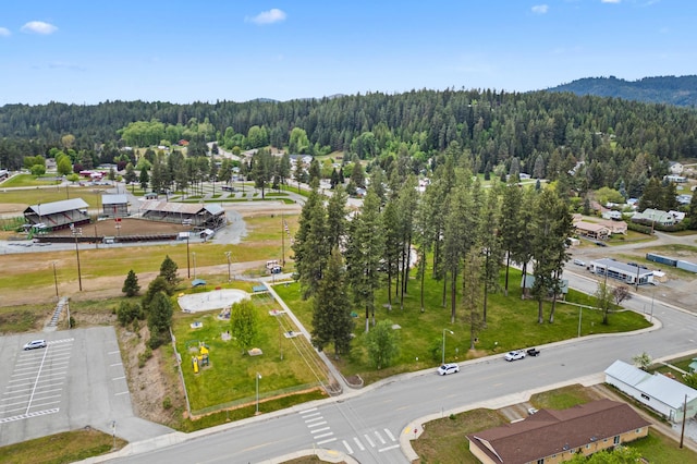 110 N Spokane Ave, Newport, WA 99156 - aerial view of a forest