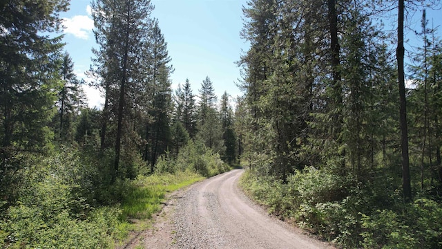1016 Karls Way, Colville, WA 99114 - photo 17