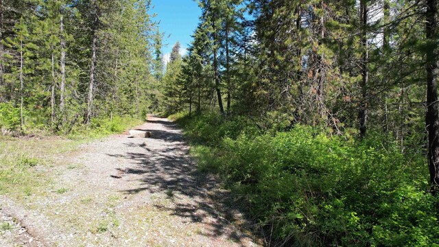 1016 Karls Way, Colville, WA 99114 - photo 24