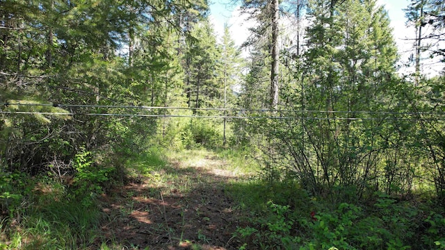 1016 Karls Way, Colville, WA 99114 - photo 25