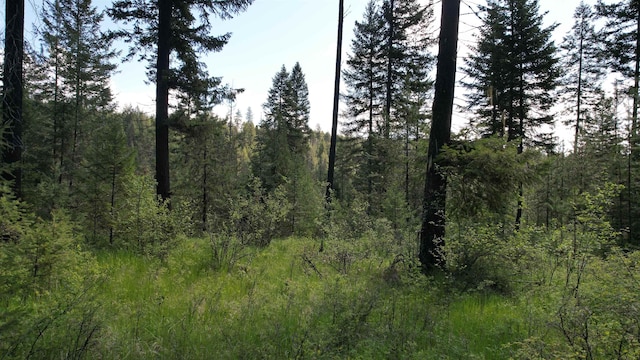 1016 Karls Way, Colville, WA 99114 - photo 26