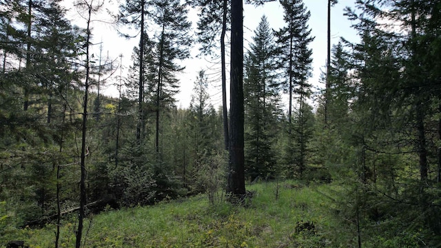 1016 Karls Way, Colville, WA 99114 - photo 27