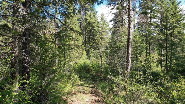 1016 Karls Way, Colville, WA 99114 - photo 30