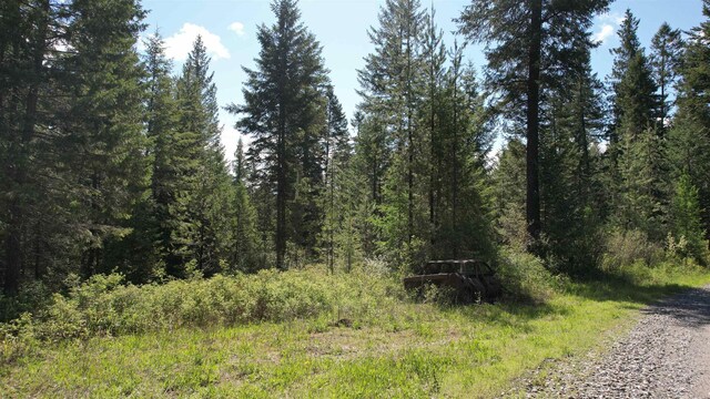 1016 Karls Way, Colville, WA 99114 - photo 4