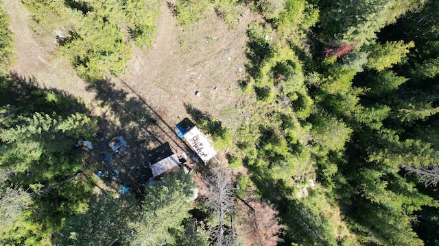 1016 Karls Way, Colville, WA 99114 - photo 32