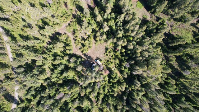 1016 Karls Way, Colville, WA 99114 - photo 33