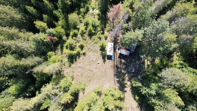 1016 Karls Way, Colville, WA 99114 - photo 34