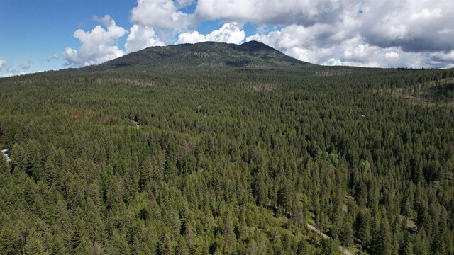 1016 Karls Way, Colville, WA 99114 - photo 35