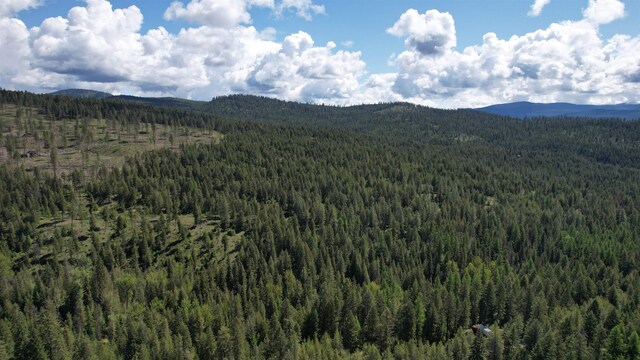 1016 Karls Way, Colville, WA 99114 - photo 36