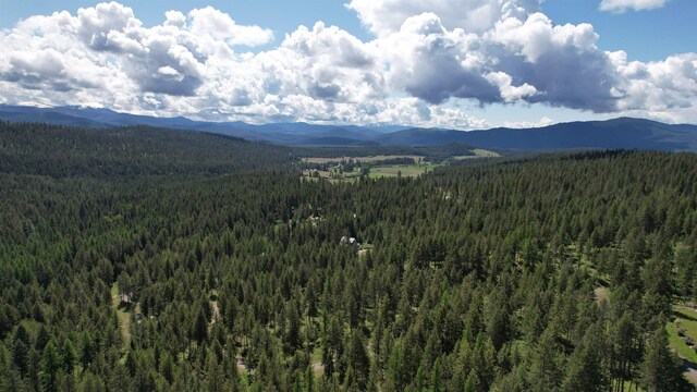 1016 Karls Way, Colville, WA 99114 - photo 37
