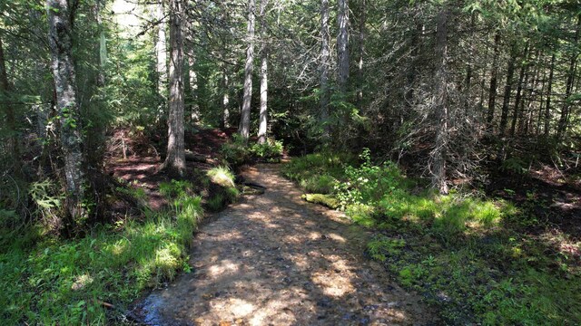 1016 Karls Way, Colville, WA 99114 - photo 8