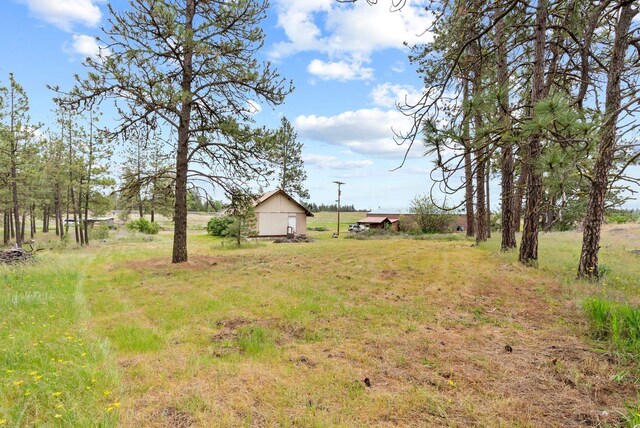 6500 W Soledad Ln, Cheney, WA 99004 - view of yard with an outdoor structure