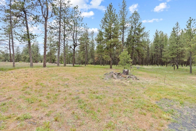 6500 W Soledad Ln, Cheney, WA 99004 - view of yard featuring a forest view