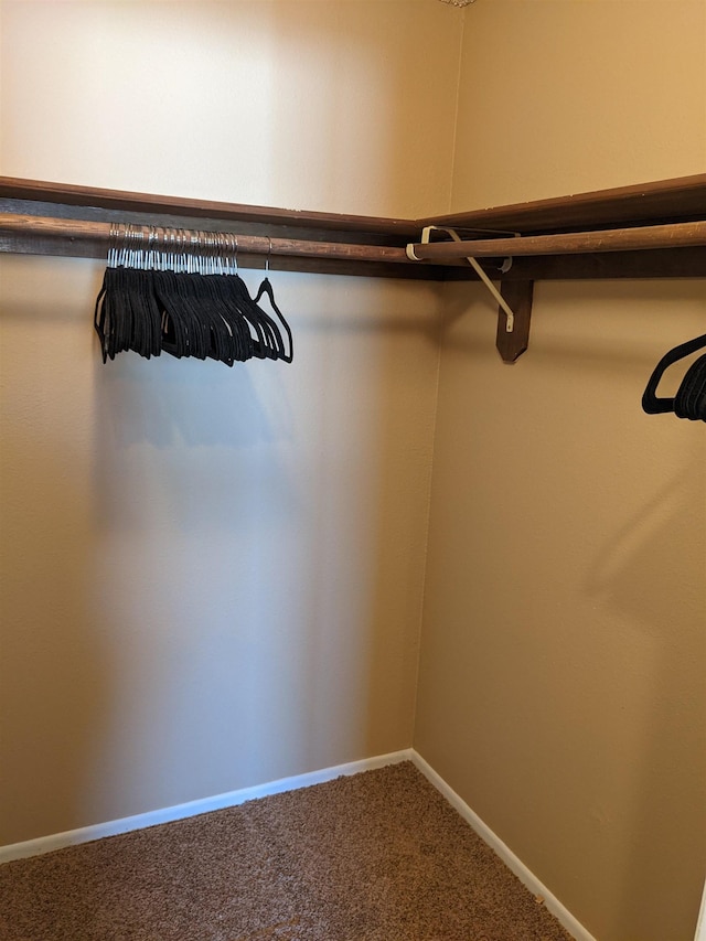 7878 N Wilding Dr Unit 14, Spokane, WA 99208 - walk in closet featuring carpet floors