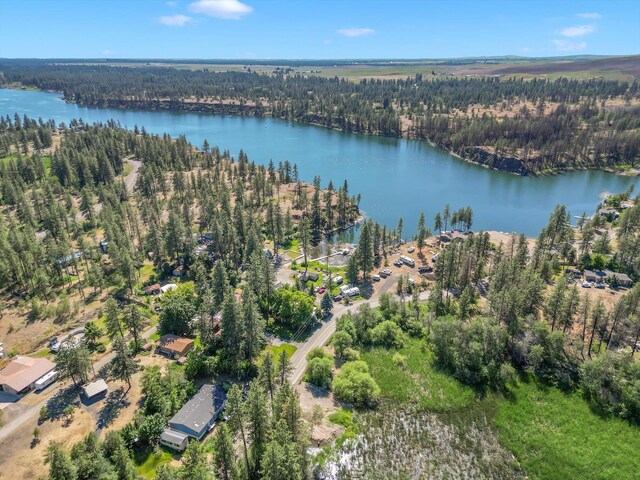 12523 S Clear Lake Rd, Medical Lake, WA 99022 - photo 11