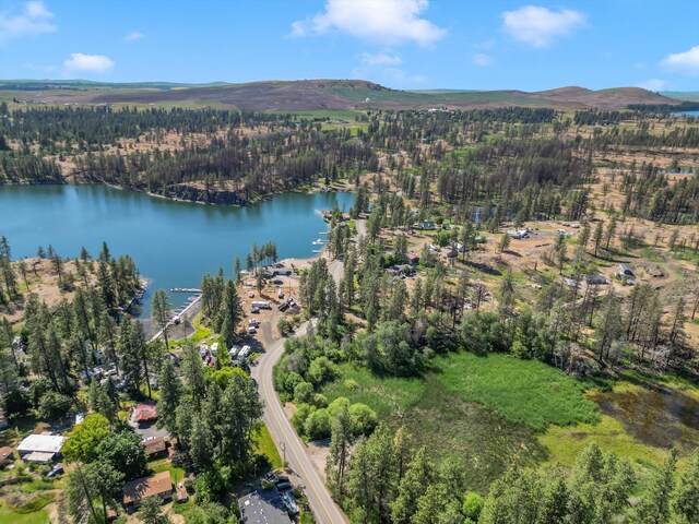 12523 S Clear Lake Rd, Medical Lake, WA 99022 - photo 13
