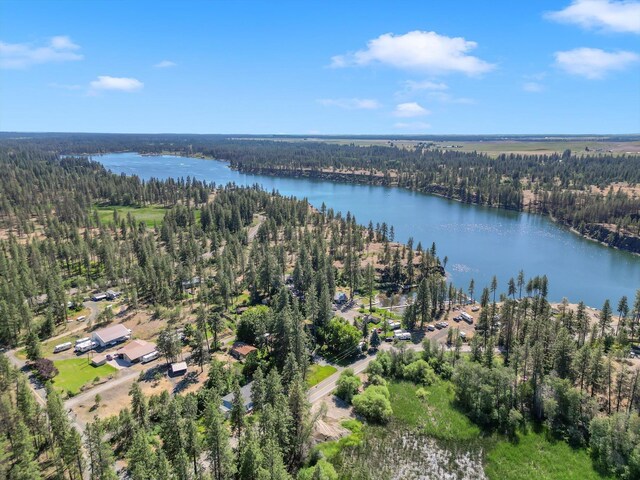 12523 S Clear Lake Rd, Medical Lake, WA 99022 - photo 14