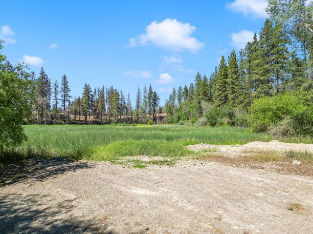 12523 S Clear Lake Rd, Medical Lake, WA 99022 - photo 5