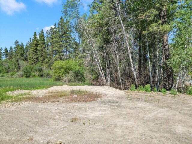 12523 S Clear Lake Rd, Medical Lake, WA 99022 - photo 7