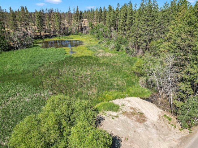 12523 S Clear Lake Rd, Medical Lake, WA 99022 - photo 9