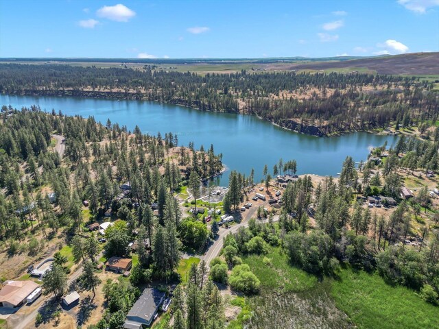 12523 S Clear Lake Rd, Medical Lake, WA 99022 - photo 10