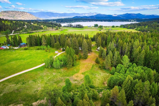 3475B Waitts Lake Rd, Valley, WA 99181 - drone / aerial view of a water and mountain view