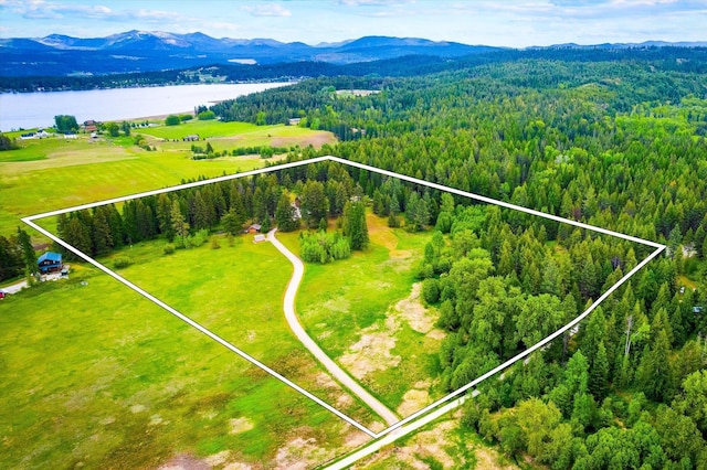 3475B Waitts Lake Rd, Valley, WA 99181 - aerial overview of property's location with a forest, property parcel outlined, and a water and mountain view
