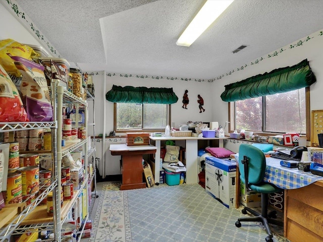 11723 S Player Dr, Spokane, WA 99223 - office with a textured ceiling and plenty of natural light