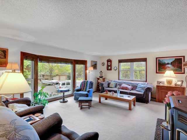11723 S Player Dr, Spokane, WA 99223 - living room with carpet, healthy amount of natural light, and a textured ceiling