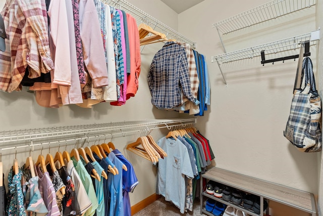 4461 W Greenchain Loop # 5, Coeur D Alene, ID 83814 - view of spacious closet