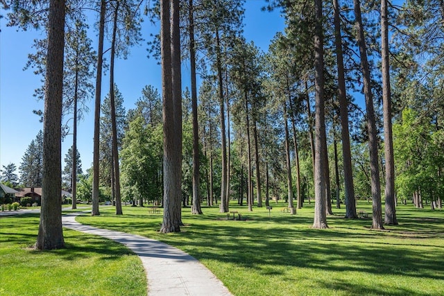 4218 N E St, Spokane, WA 99205 - view of property's community featuring a lawn