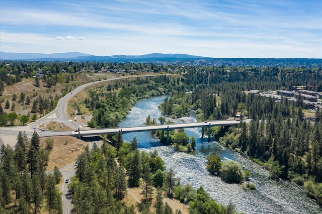 4218 N E St, Spokane, WA 99205 - bird's eye view of a notable bridge, a water and mountain view, and a forest