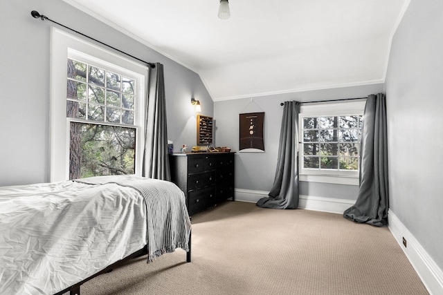 1732 W 14th Ave, Spokane, WA 99204 - bedroom featuring lofted ceiling, multiple windows, carpet floors, crown molding, and baseboards