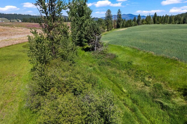 20141 N Bernhill Rd, Colbert, WA 99005 - photo 11