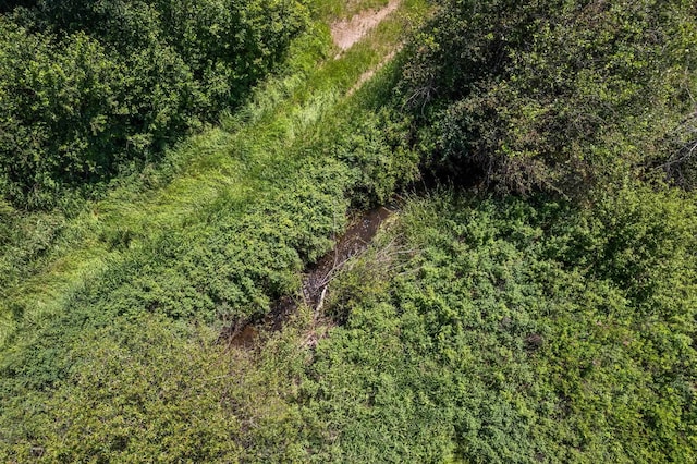 20141 N Bernhill Rd, Colbert, WA 99005 - photo 12