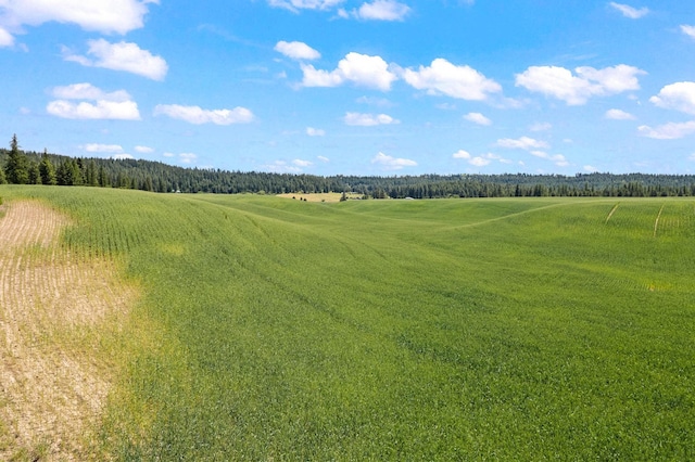 20141 N Bernhill Rd, Colbert, WA 99005 - photo 13