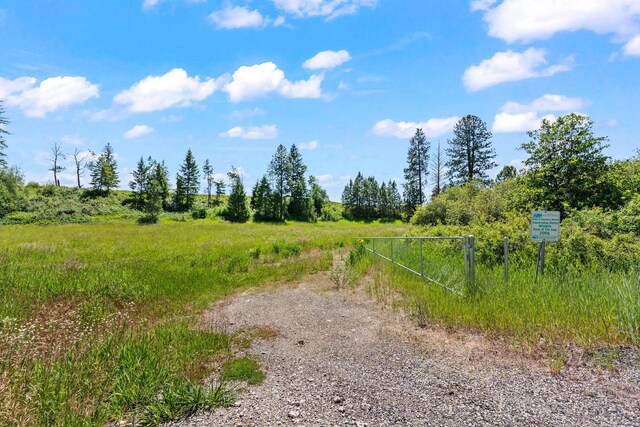 20141 N Bernhill Rd, Colbert, WA 99005 - photo 14