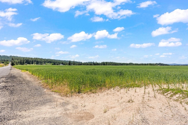 20141 N Bernhill Rd, Colbert, WA 99005 - photo 15