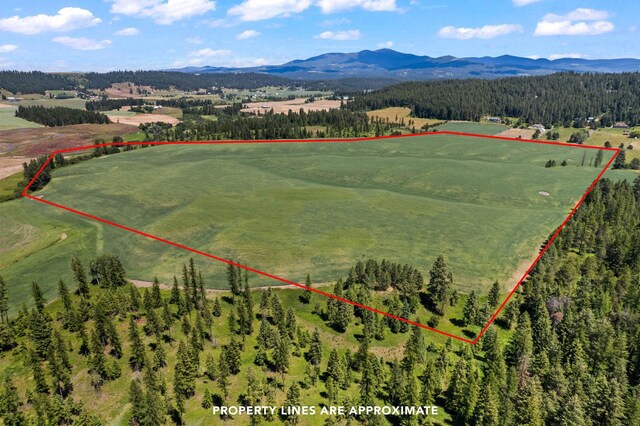 20141 N Bernhill Rd, Colbert, WA 99005 - photo 3