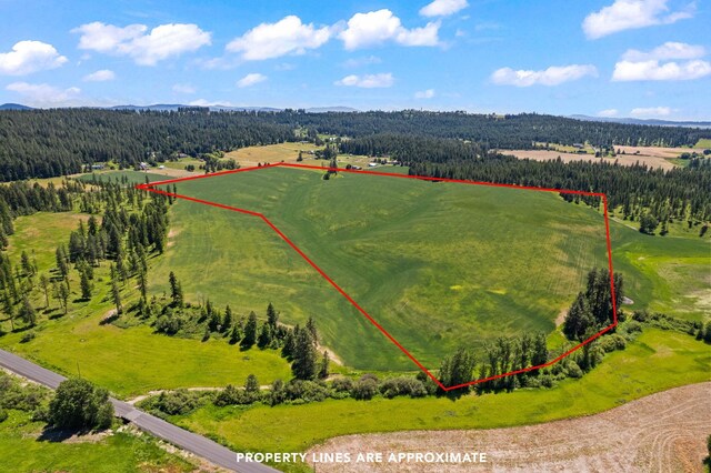 20141 N Bernhill Rd, Colbert, WA 99005 - photo 5